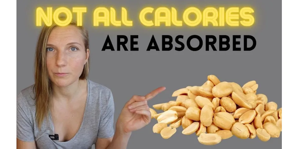 Does your body absorb calories immediately?