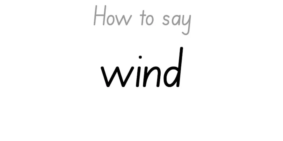 How do you say wind?