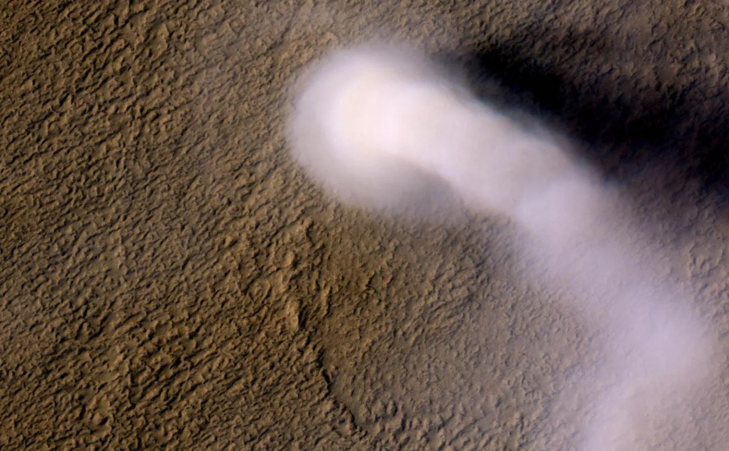 Mars' whirling dust devil