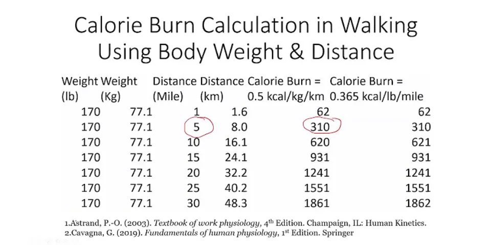 How many calories do you burn walking 5 km in 1 hour