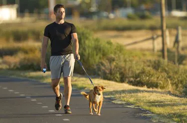 Person burning calories walking on a paved trail with a dog.