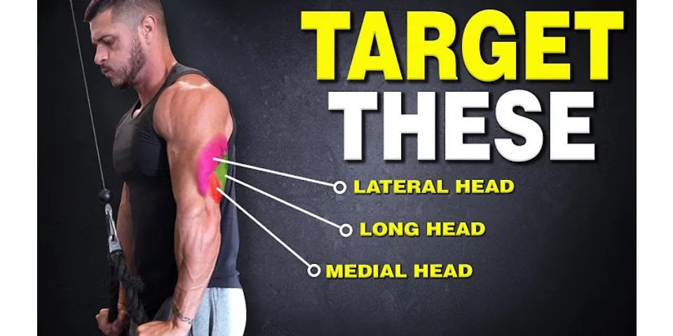 How many exercises for triceps