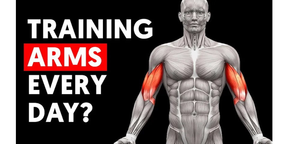 Is it OK to train biceps everyday?
