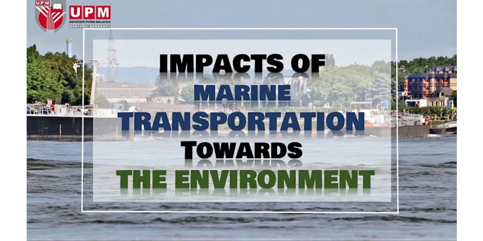 Positive and negative effects of transportation on the environment