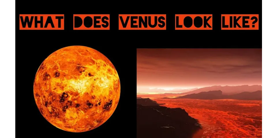 What does Venus look like