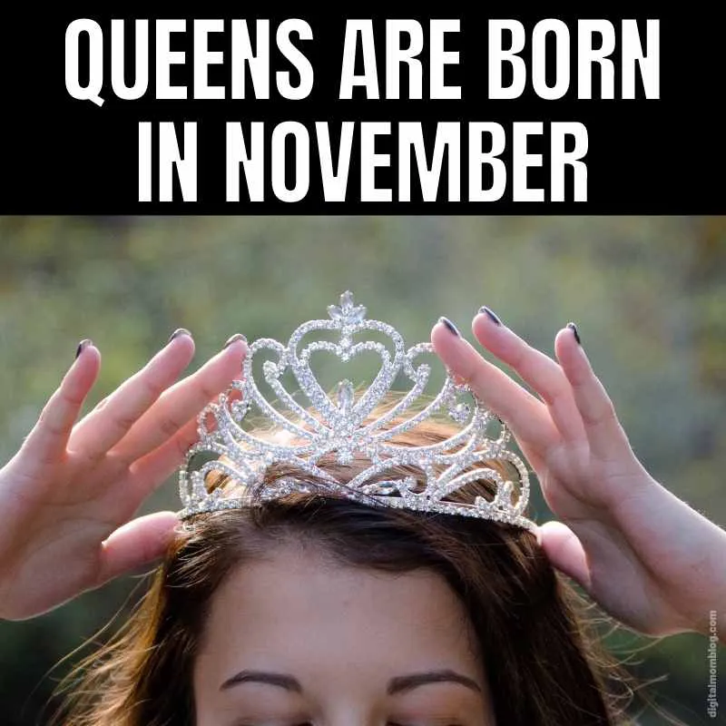 november birthday meme queen
